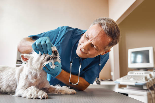 Best Same-Day Emergency Appointments in Brooklyn Park, MN